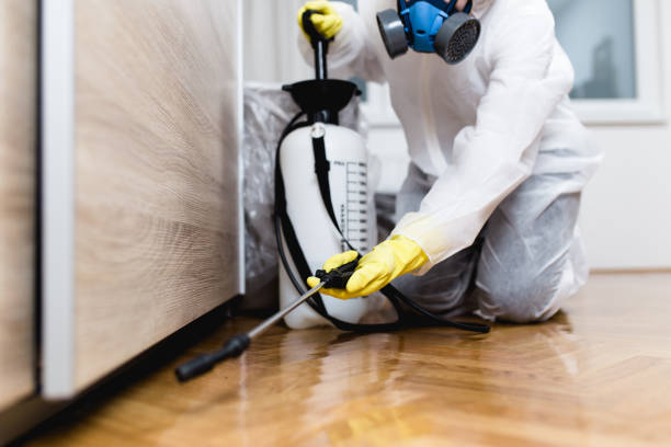 Best Cockroach Control Services  in Aspermont, TX
