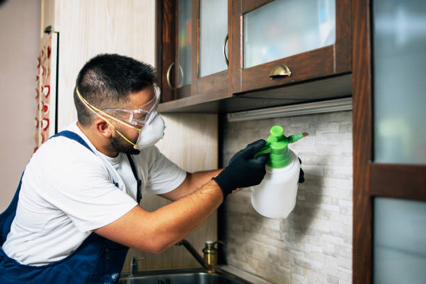 Best Residential Pest Control  in Aspermont, TX