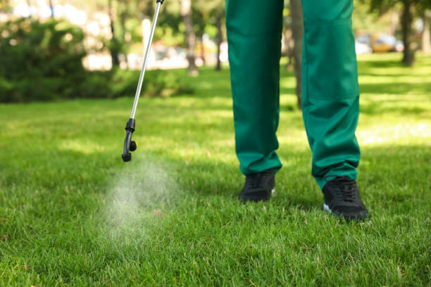 Best Affordable Pest Control Services  in Aspermont, TX