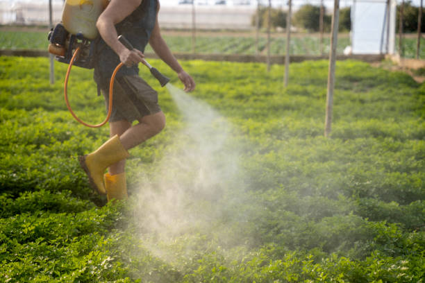 Best Wasp Removal Services  in Aspermont, TX