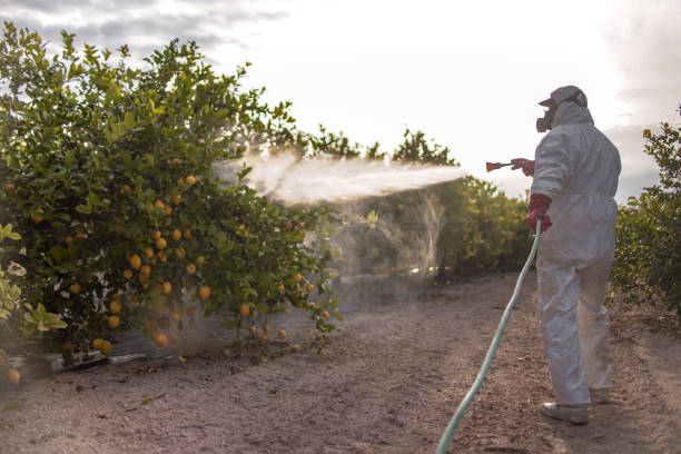 Best Emergency Pest Control  in Aspermont, TX