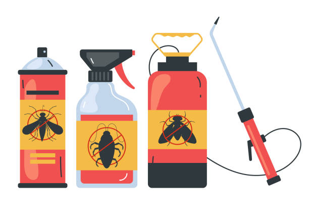 Wasp Removal Services in Aspermont, TX