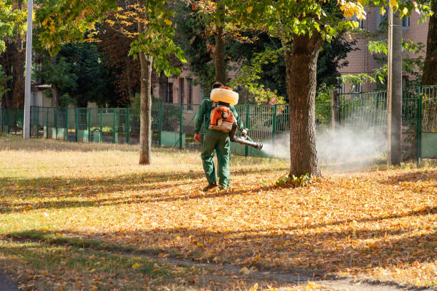 Best Pest Inspection Near Me  in Aspermont, TX